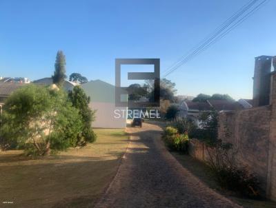 Terreno para Venda, em Guarapuava, bairro Batel