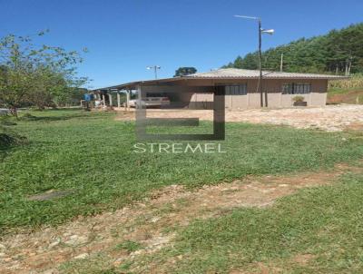 Chcara para Venda, em Guarapuava, bairro 