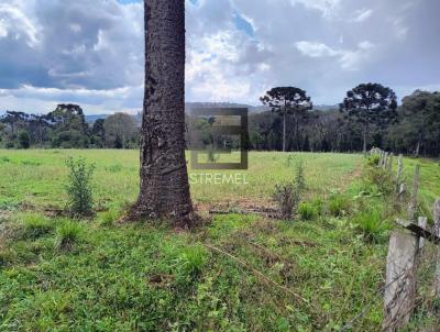 rea Rural para Venda, em Guarapuava, bairro Guar