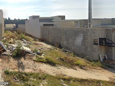 imagem-miniatura