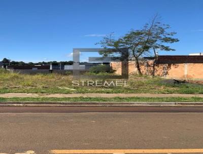 Terreno para Venda, em Guarapuava, bairro So Cristvo