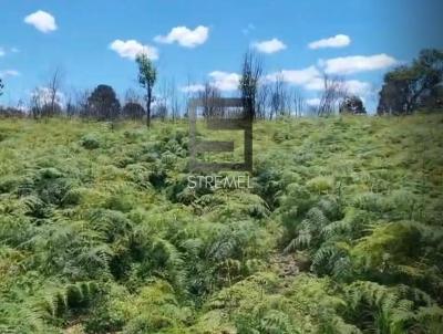 rea Rural para Venda, em Guarapuava, bairro 