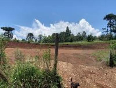 Terreno para Venda, em Guarapuava, bairro Morro Alto