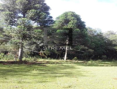 rea Rural para Venda, em Guarapuava, bairro Jordo