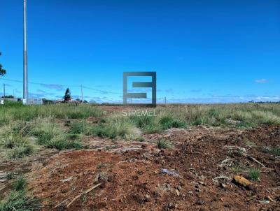 Terreno Comercial para Venda, em Guarapuava, bairro Vila Carli