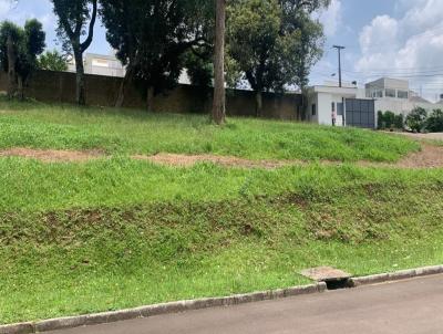 Terreno para Venda, em Guarapuava, bairro Santana