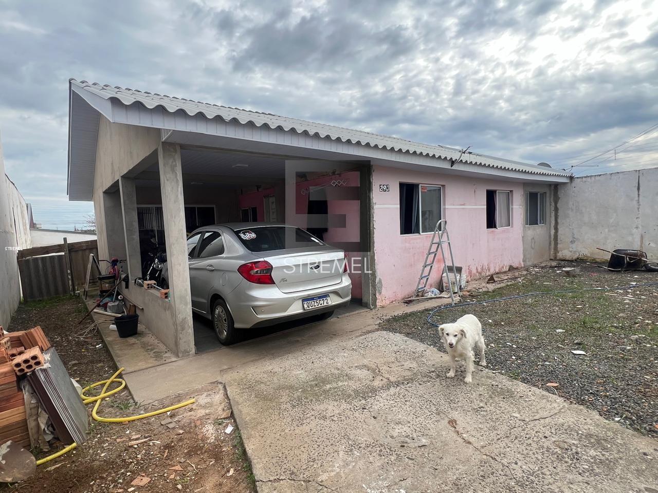 imagem-miniatura