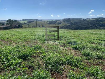 Chcara para Venda, em Guarapuava, bairro 